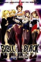 BIBLE BLACK NEW TESTAMENT SECOND SACRAMENT